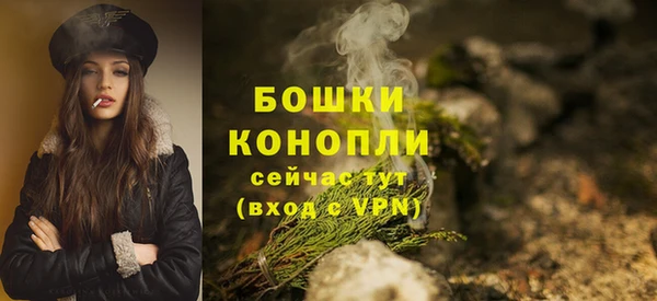 дживик Мегион