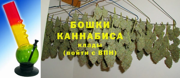 сатива Майский