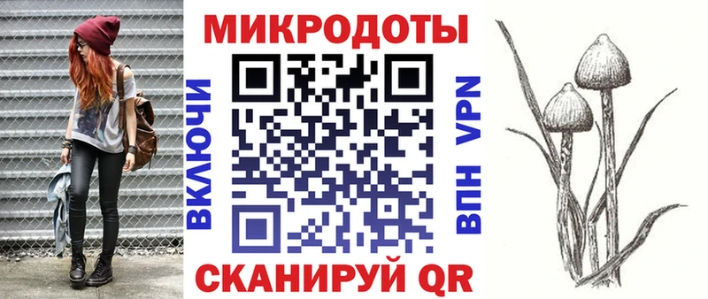 гидра tor  Истра  Псилоцибиновые грибы прущие грибы 
