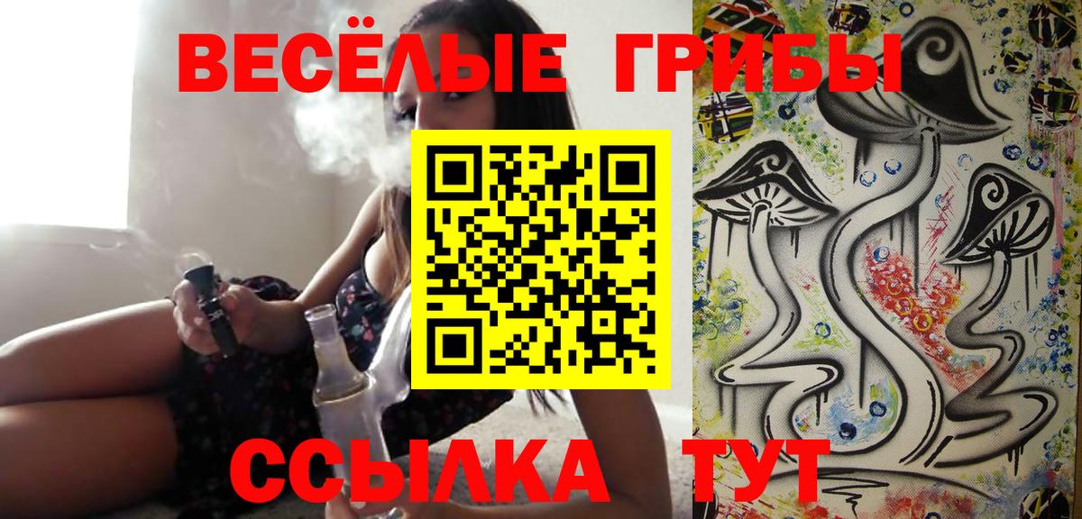 Галлюциногенные грибы GOLDEN TEACHER  Псилоцибиновые грибы мухоморы  дарнет шоп  Истра 