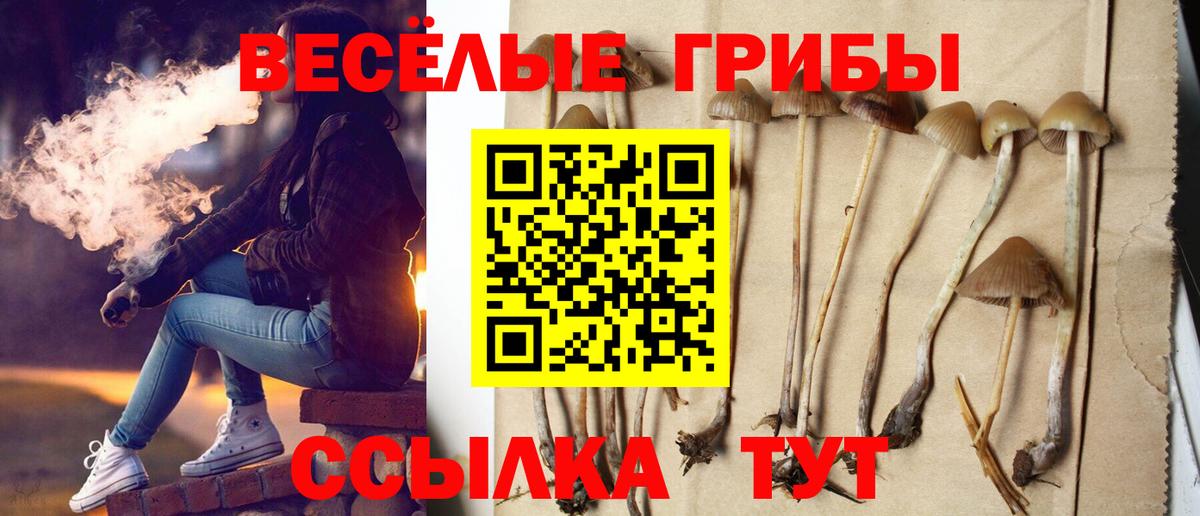 Галлюциногенные грибы Cubensis  Вход с VPN  Галлюциногенные грибы Magic Shrooms  Истра 