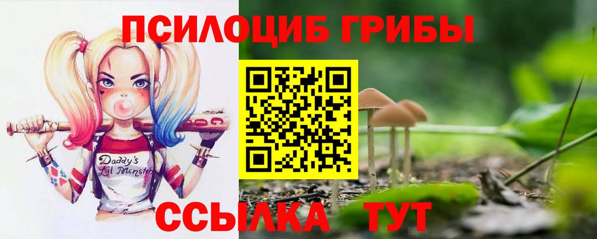 Галлюциногенные грибы прущие грибы Истра